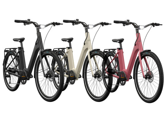 CRIVIT® Vélo électrique Urban Y.3 avec transmission par chaîne